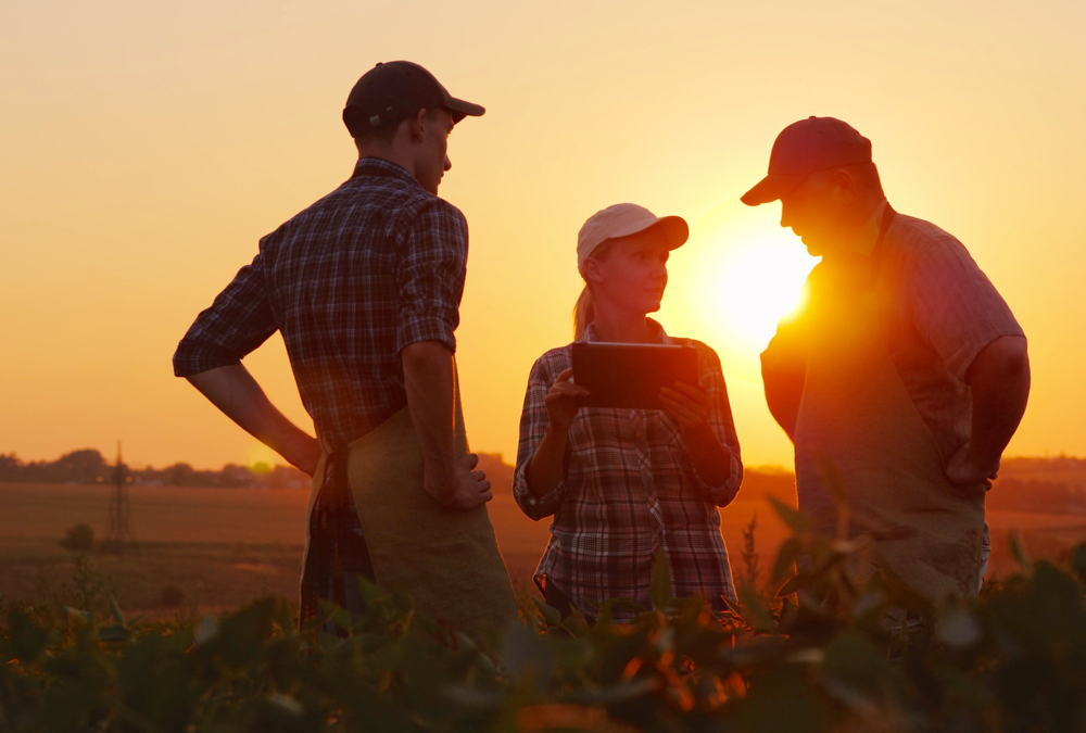 “We’re on the cusp of an industrial revolution within the agriculture sector,” says one senior economist at RBC.
