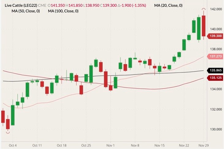 CME February 2022 live cattle (candlesticks) with 20-, 50- and 100-day moving averages (pink, dark red and black lines). (Barchart)
