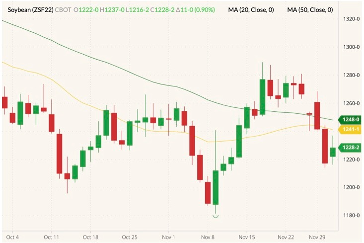 CBOT January 2022 soybeans (candlesticks) with 20- and 50-day moving averages (yellow and dark green lines). (Barchart)
