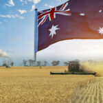Despite real challenges, Australia posted multiple sales wins in major markets around the world.