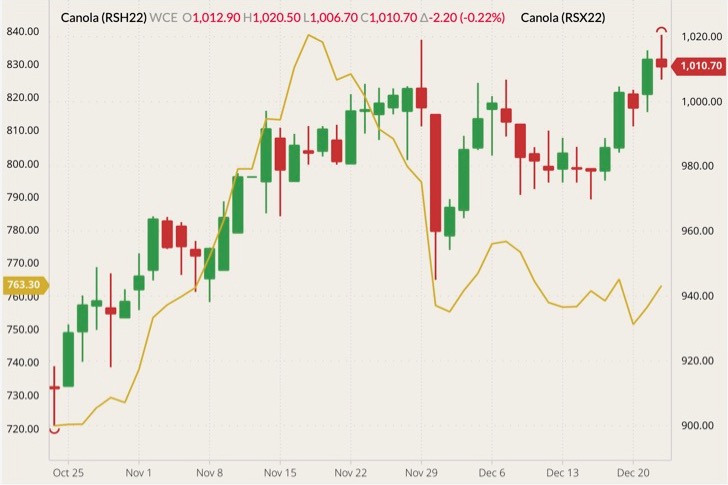 ICE March 2022 canola (candlesticks) with November 2022 canola (yellow line, left column). (Barchart)
