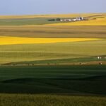 Good land deals and bad land deals can affect a farm’s overall health and competitiveness for many years to come.