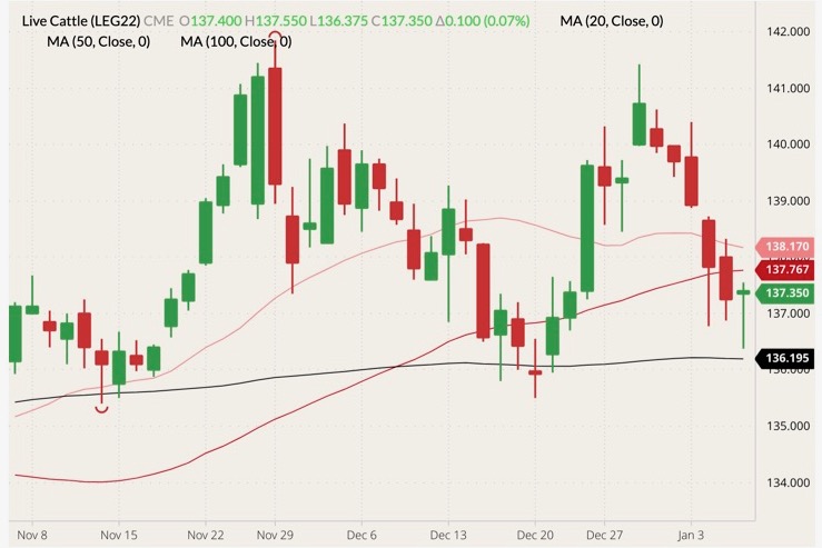 CME February 2022 live cattle (candlesticks) with 20-, 50- and 100-day moving averages (pink, red and black lines). (Barchart)
