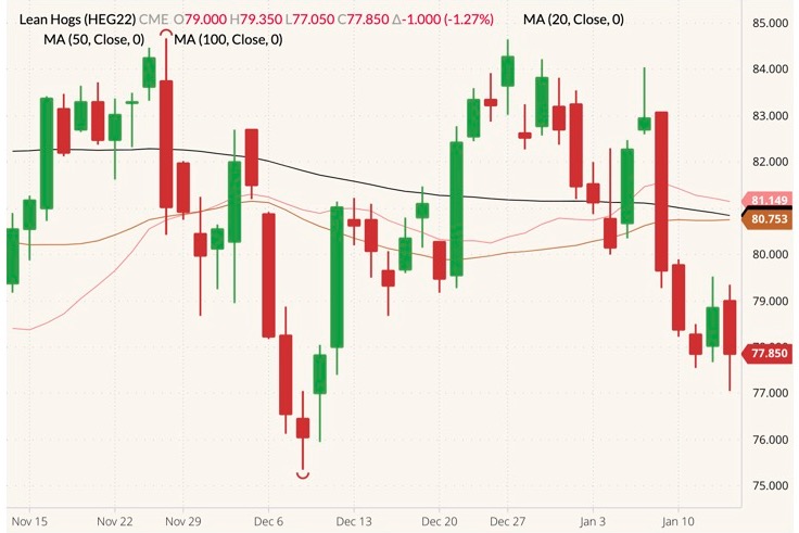 CME February 2022 lean hogs (candlesticks) with 20-, 50- and 100-day moving averages (pink, brown and black lines). (Barchart)
