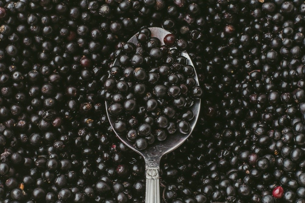 File photo of elderberries. (DedMityay/iStock/Getty Images)

