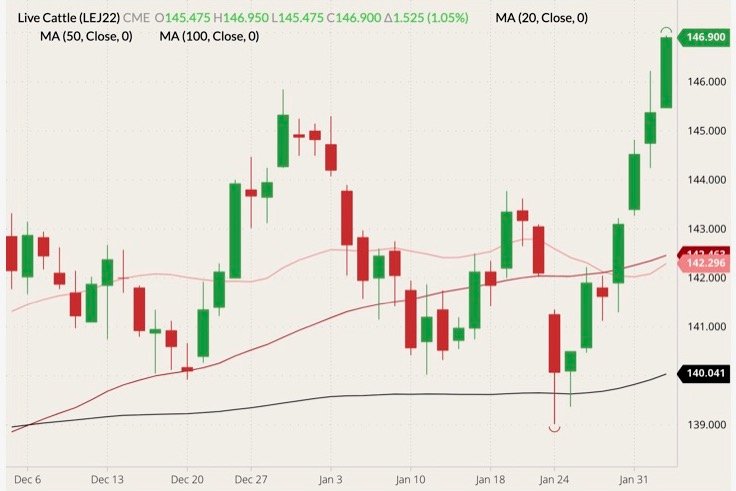 CME April 2022 live cattle (candlesticks) with 20-, 50- and 100-day moving averages (pink, dark red and black lines). (Barchart)
