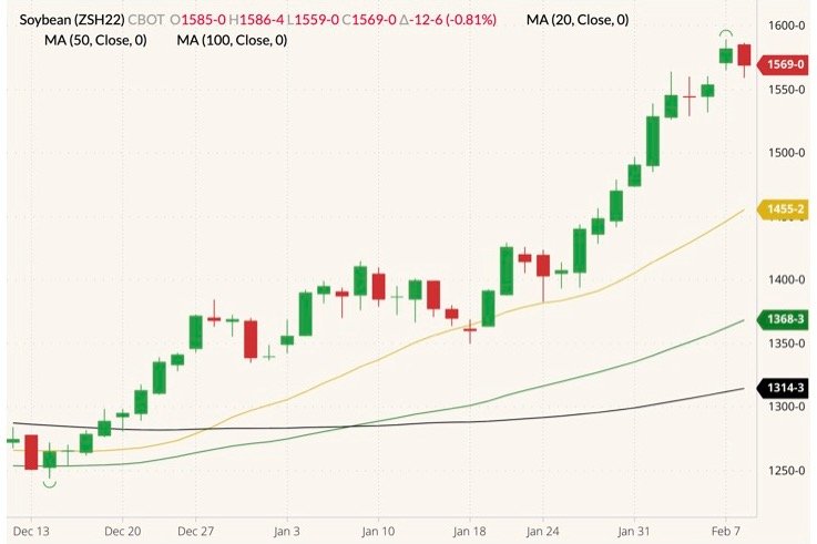 CBOT March 2022 soybeans (candlesticks) with 20-, 50- and 100-day moving averages (yellow, dark green and black lines). (Barchart)
