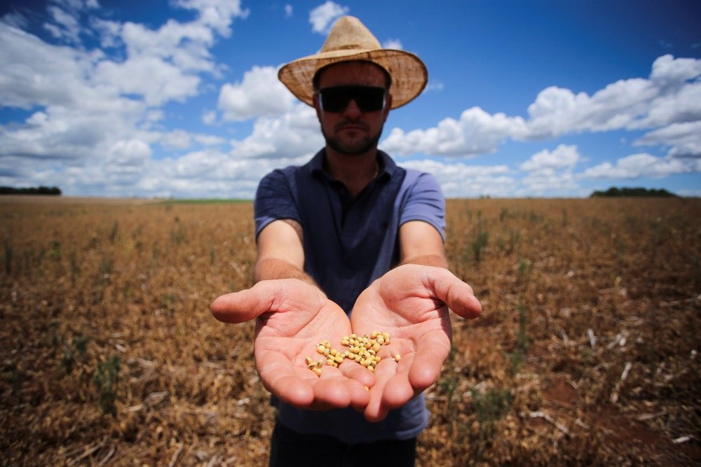 Anderson Soletti shows soybeans at his drought-parched plantation at Espumoso in Brazil’s Rio Grande do Sul state on Jan. 10, 2022. (Photo: Reuters/Diego Vara)
