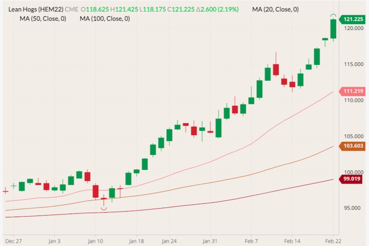 CME June 2022 lean hogs (candlesticks) with 20-, 50- and 100-day moving averages (pink, brown and dark red lines). (Barchart)
