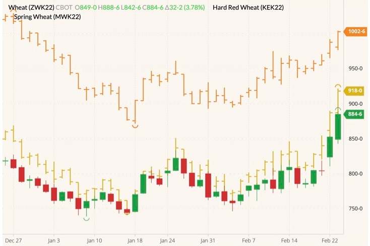 CBOT May 2022 wheat (candlesticks) with K.C. May 2022 wheat (yellow O/H/L/C) and MGEX May 2022 wheat (orange O/H/L/C). (Barchart)
