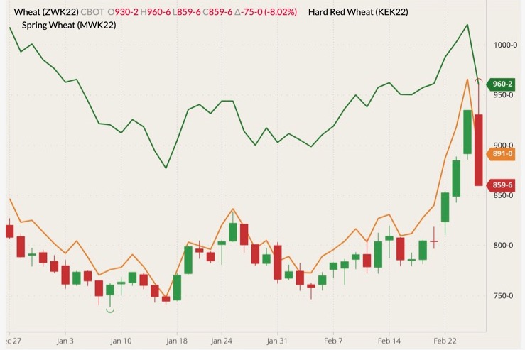 CBOT May 2022 wheat (candlesticks) with K.C. May 2022 wheat (orange line) and MGEX May 2022 wheat (dark green line). (Barchart)
