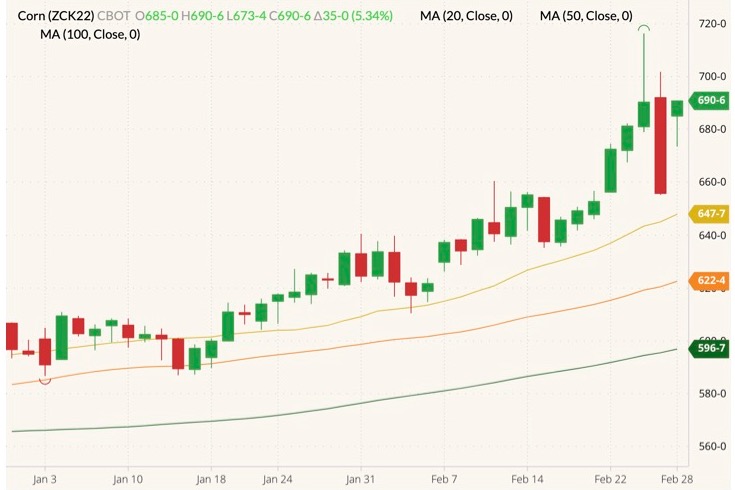 CBOT May 2022 corn (candlesticks) with 20-, 50- and 100-day moving averages (yellow, orange and dark green lines). (Barchart)
