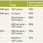 TABLE 1: Herbicide rates and control seen four weeks after application.