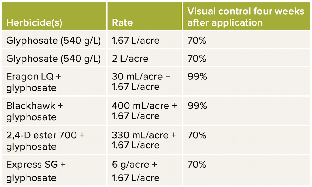 TABLE 1: Herbicide rates and control seen four weeks after application.