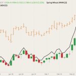 CBOT May 2022 wheat (candlesticks) with MGEX May 2022 wheat (orange O/H/L/C) and K.C. May 2022 wheat (black line). (Barchart)