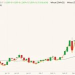 CBOT May 2022 wheat (candlesticks) with 20-day moving average (dark green line) and CBOT July 2022 and September 2022 wheat (yellow and orange lines). (Barchart)