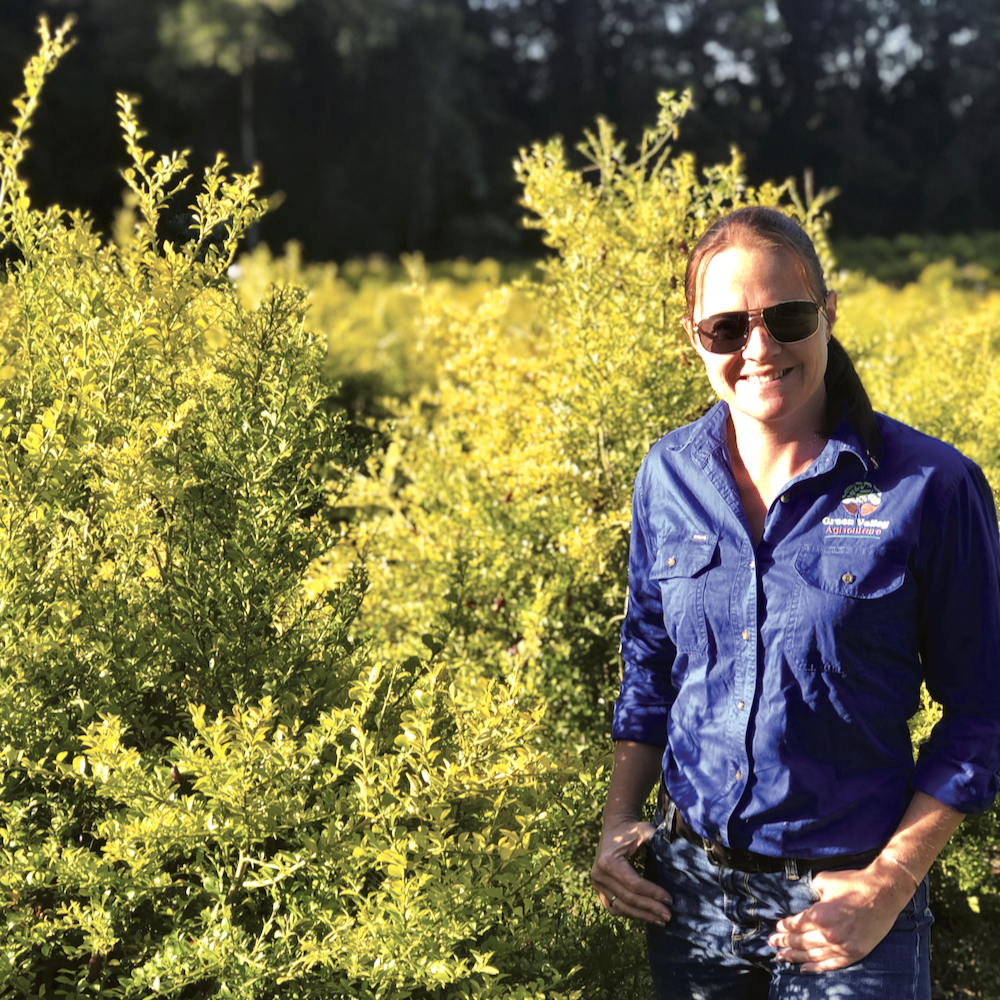 “We plan to keep planting,” says Jade King. With prices up to $300 per kg, the market is red hot.