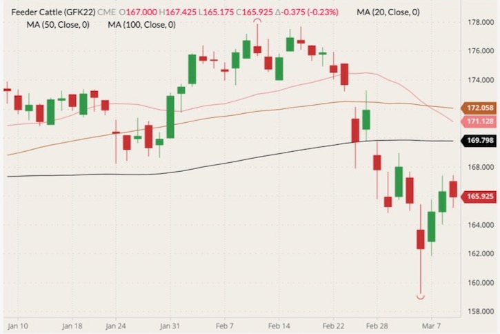 CME May 2022 feeder cattle (candlesticks) with 20-, 50- and 100-day moving averages (pink, brown and black lines). (Barchart)
