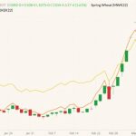 CBOT May 2022 wheat (candlesticks) with MGEX May 2022 wheat (yellow line) and K.C. May 2022 wheat (orange line). (Barchart)