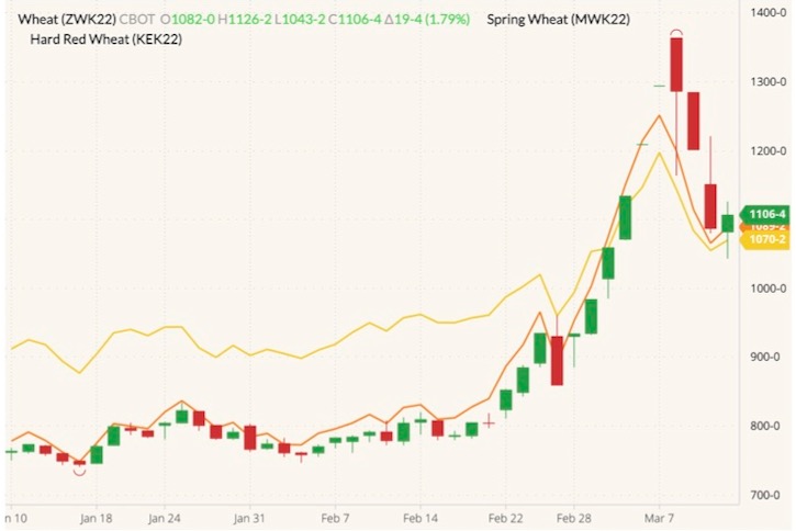 CBOT May 2022 wheat (candlesticks) with MGEX May 2022 spring wheat (yellow line) and K.C. May 2022 hard red wheat (orange line). (Barchart)
