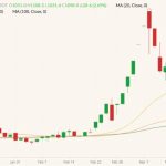 CBOT May 2022 wheat (candlesticks) with 20-, 50- and 100-day moving averages (yellow, orange and dark green lines). (Barchart)

