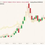 CBOT May 2022 wheat (candlesticks) with MGEX May 2022 spring wheat (yellow OHLC) and K.C. May 2022 hard red wheat (orange OHLC). (Barchart)
