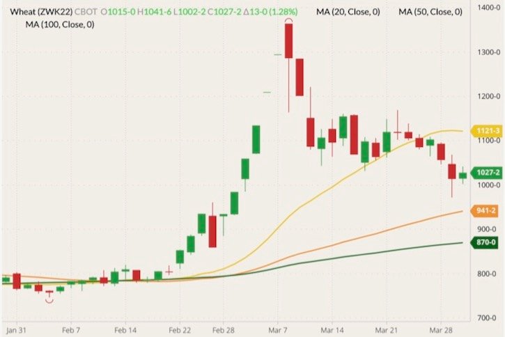 CBOT May 2022 wheat (candlesticks) with 20-, 50- and 100-day moving averages (yellow, orange and dark green lines). (Barchart)
