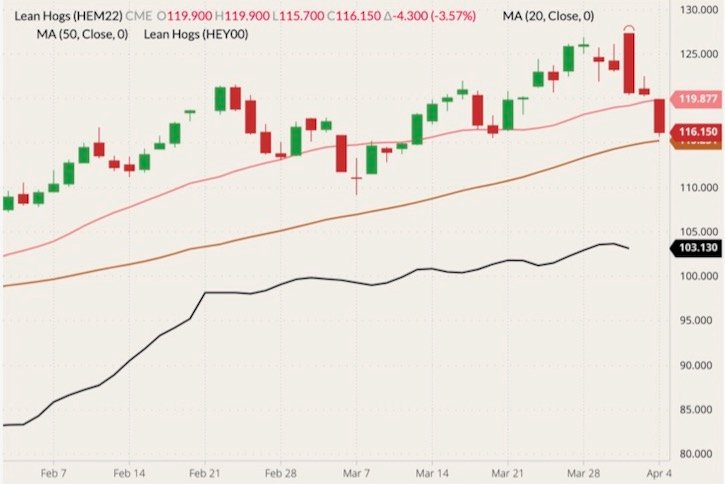 CME June 2022 lean hogs (candlesticks) with 20-, and 50-day moving averages (pink and brown lines) and CME cash Lean Hog Index (black line). (Barchart)
