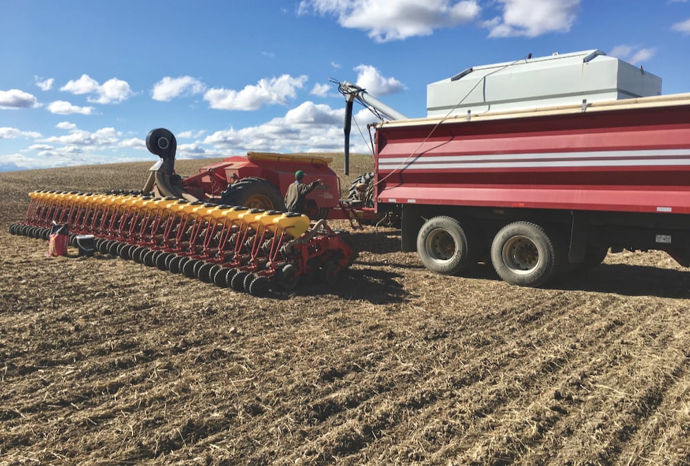 With his Väderstad Tempo L 24 planter, Edmund Rath from Rolla, B.C., says he gets around 90 per cent canola seed emergence.