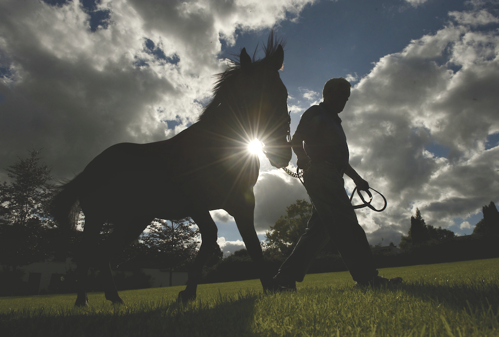 Irish National Stud.
