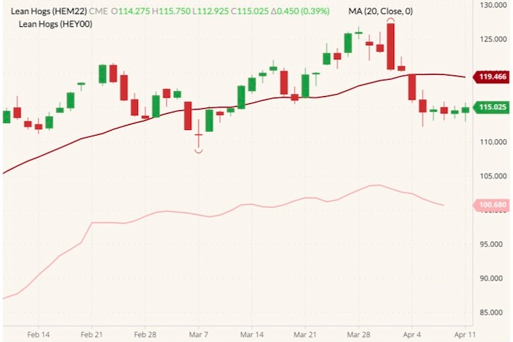 CME June 2022 lean hogs (candlesticks) with 20-day moving average (dark red line) and CME cash lean hog index (pink line). (Barchart)
