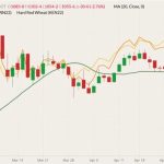 CBOT July 2022 wheat (candlesticks) with 20-day moving average (green line), MGEX July 2022 spring wheat (yellow line) and K.C. July 2022 hard red wheat (orange line). (Barchart)
