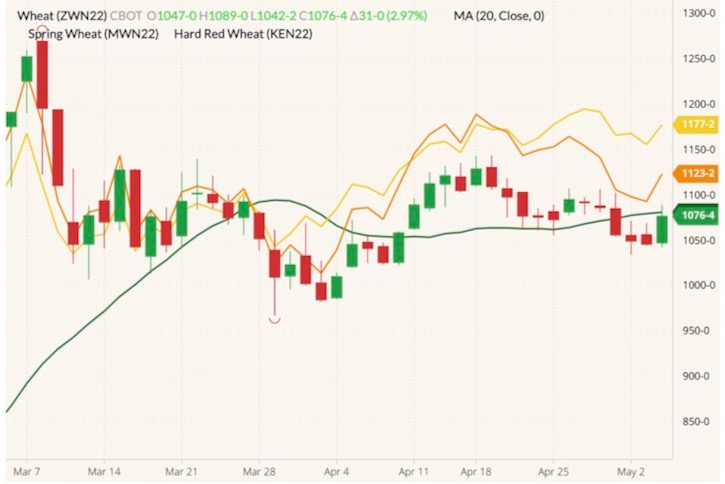 CBOT July 2022 wheat (candlesticks) with 20-day moving average (dark green line), MGEX July 2022 spring wheat (yellow line) and K.C. July 2022 hard red wheat (orange line). (Barchart)
