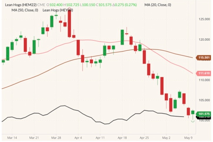 CME June 2022 lean hogs (candlesticks) with 20- and 50-day moving averages (pink and brown lines) and CME lean hog index (black line). (Barchart)
