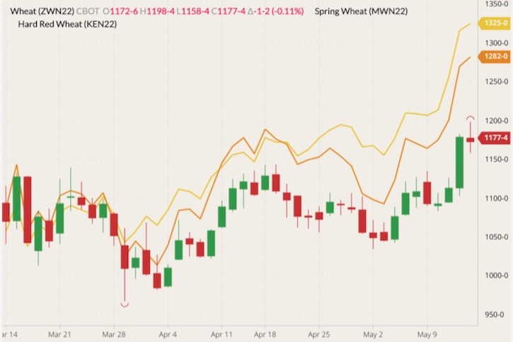 CBOT July 2022 soft red wheat (candlesticks) with MGEX July 2022 spring wheat (yellow line) and K.C. July 2022 hard red wheat (orange line). (Barchart)

