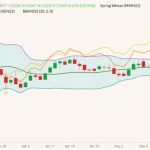 CBOT July 2022 wheat (candlesticks) with Bollinger bands (20,2), MGEX July 2022 spring wheat (yellow line) and K.C. July 2022 hard red wheat (orange line). (Barchart)