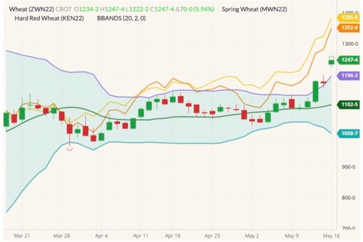 CBOT July 2022 wheat (candlesticks) with Bollinger bands (20,2), MGEX July 2022 spring wheat (yellow line) and K.C. July 2022 hard red wheat (orange line). (Barchart)

