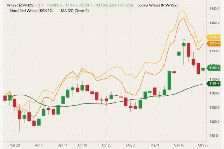 CBOT July 2022 wheat (candlesticks) with 20-day moving average (dark green line), MGEX July 2022 wheat (yellow line) and K.C. July 2022 wheat (orange line). (Barchart)
