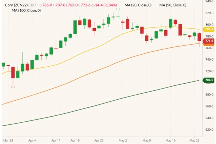 CBOT July 2022 corn (candlesticks) with 20-, 50- and 100-day moving averages (yellow, orange and green lines). (Barchart)
