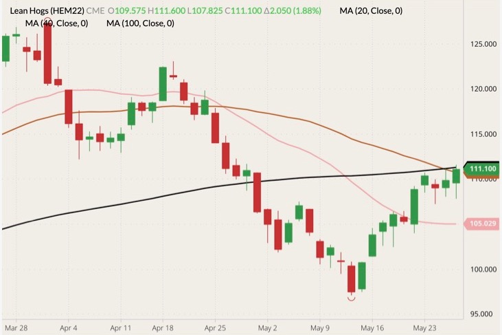CME June 2022 lean hogs (candlesticks) with 20-, 40- and 100-day moving averages (pink, brown and black lines). (Barchart)
