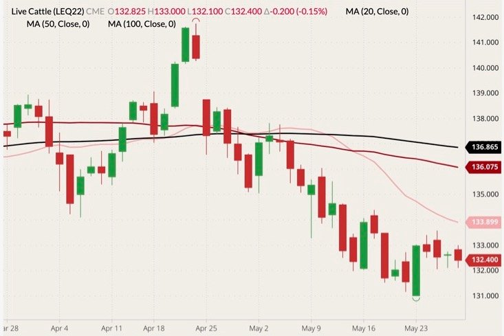 CME August 2022 live cattle (candlesticks) with 20-, 50- and 100-day moving averages (pink, red and black lines). (Barchart)
