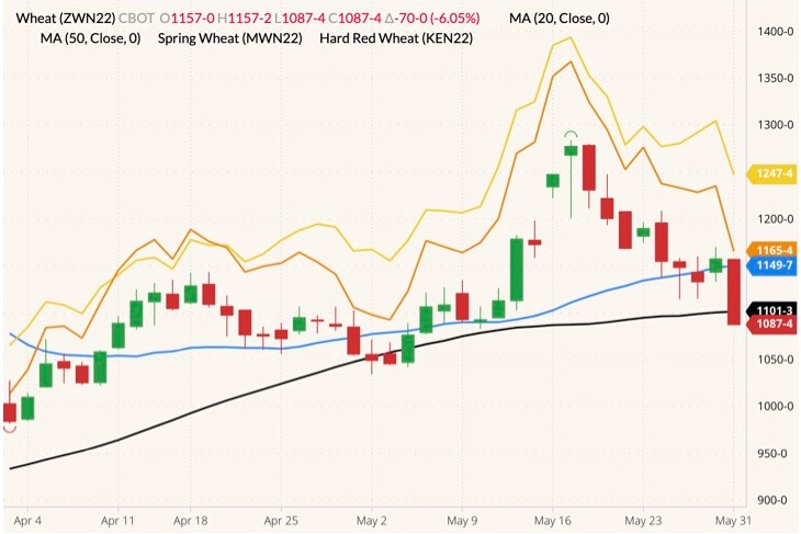 CBOT July 2022 wheat (candlesticks) with 20- and 50-day moving averages (blue and black lines) and MGEX and K.C. July 2022 wheats (yellow and orange lines). (Barchart)
