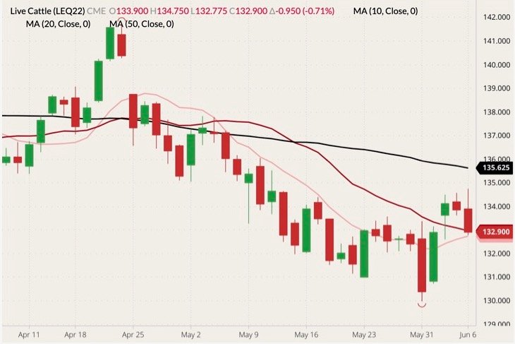 CME August 2022 live cattle (candlesticks) with 10-, 20- and 50-day moving averages. (Barchart)
