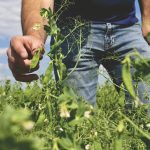 A big part of PURIS’s business model has been to excel at building relationships with growers.