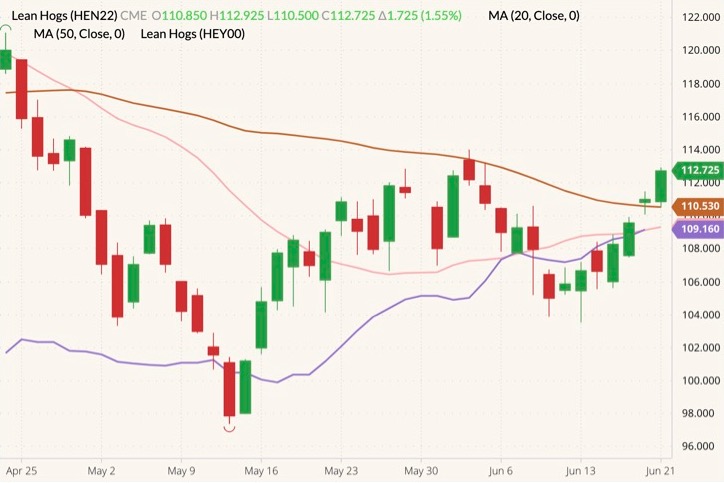 CME July 2022 lean hogs (candlesticks) with 20- and 50-day moving averages (pink and brown lines) and CME cash lean hog index (purple line). (Barchart)
