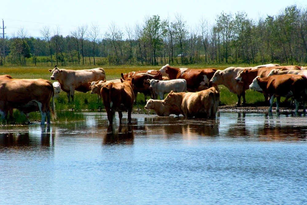 The new program aims to help offset some of the costs associated with water management.
 Photo: File

