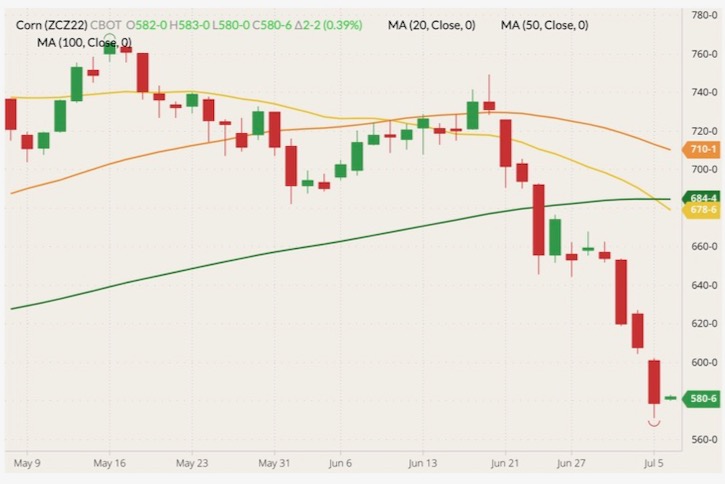 CBOT December 2022 corn (candlesticks) with 20-, 50- and 100-day moving averages (yellow, orange and dark green lines). (Barchart)
