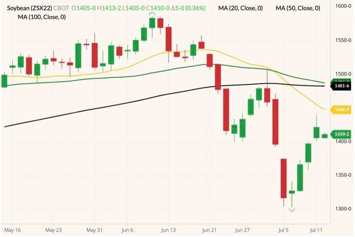 CBOT November 2022 soybeans (candlesticks) with 20-, 50- and 100-day moving averages (yellow, dark green and black lines). (Barchart)
