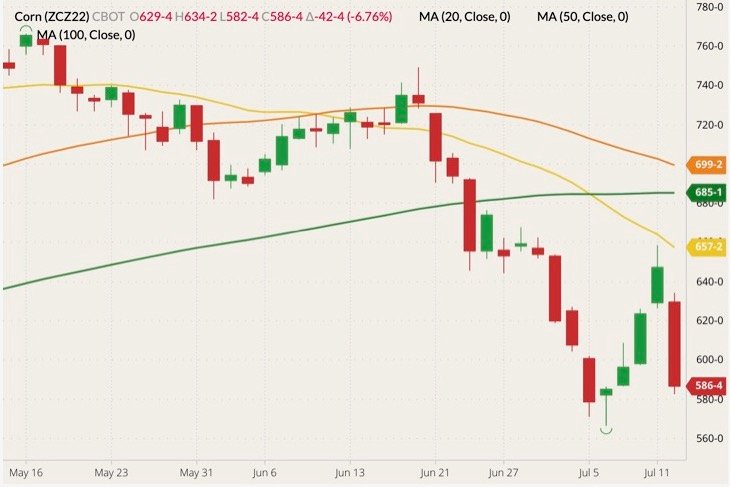 CBOT December 2022 corn (candlesticks) with 20-, 50- and 100-day moving averages (yellow, orange and green lines). (Barchart)
