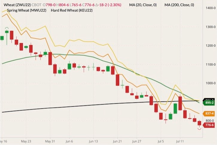 CBOT September 2022 wheat (candlesticks) with 20- and 200-day moving averages (green and black lines), MGEX September 2022 spring wheat (yellow line) and K.C. September 2022 hard red wheat (orange line). (Barchart)
